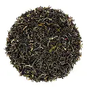jasmin-vert-decouverte-bio.webp